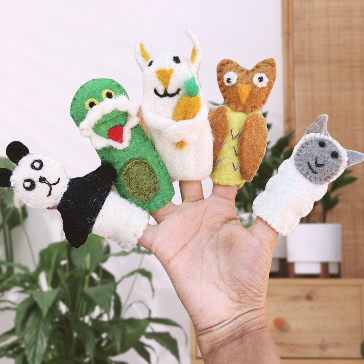 For Kids