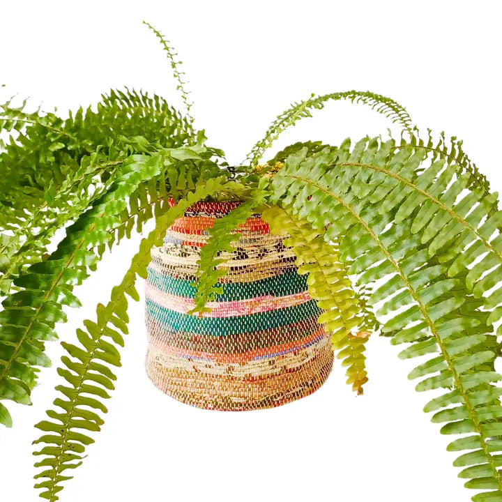 Upcycled Plant Pot Cover