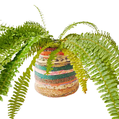Upcycled Plant Pot Cover